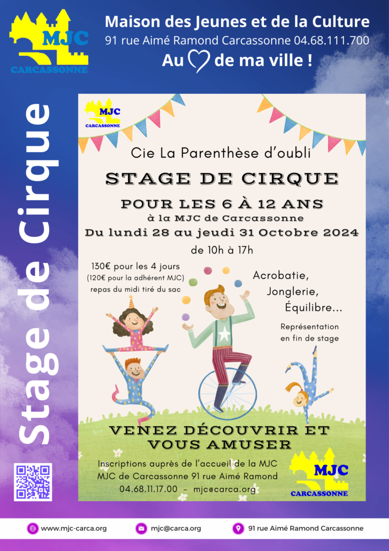 Stage de Cirque