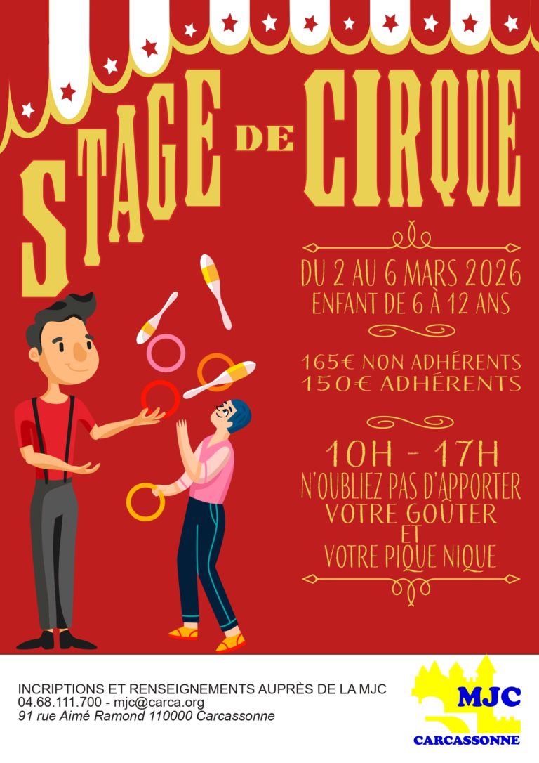 Stage de Cirque