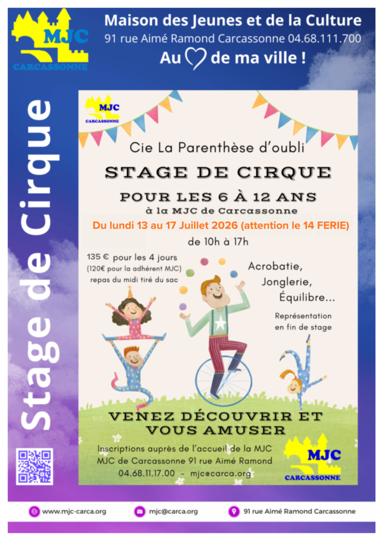 Stage de Cirque