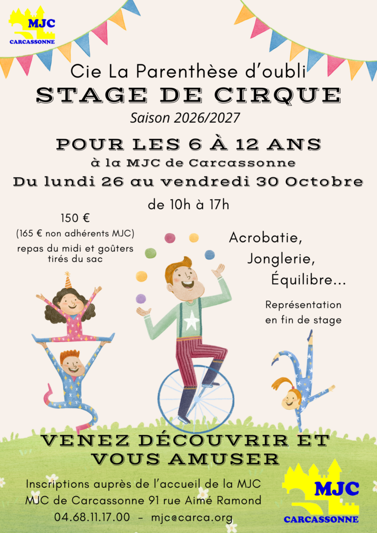 Stage de Cirque