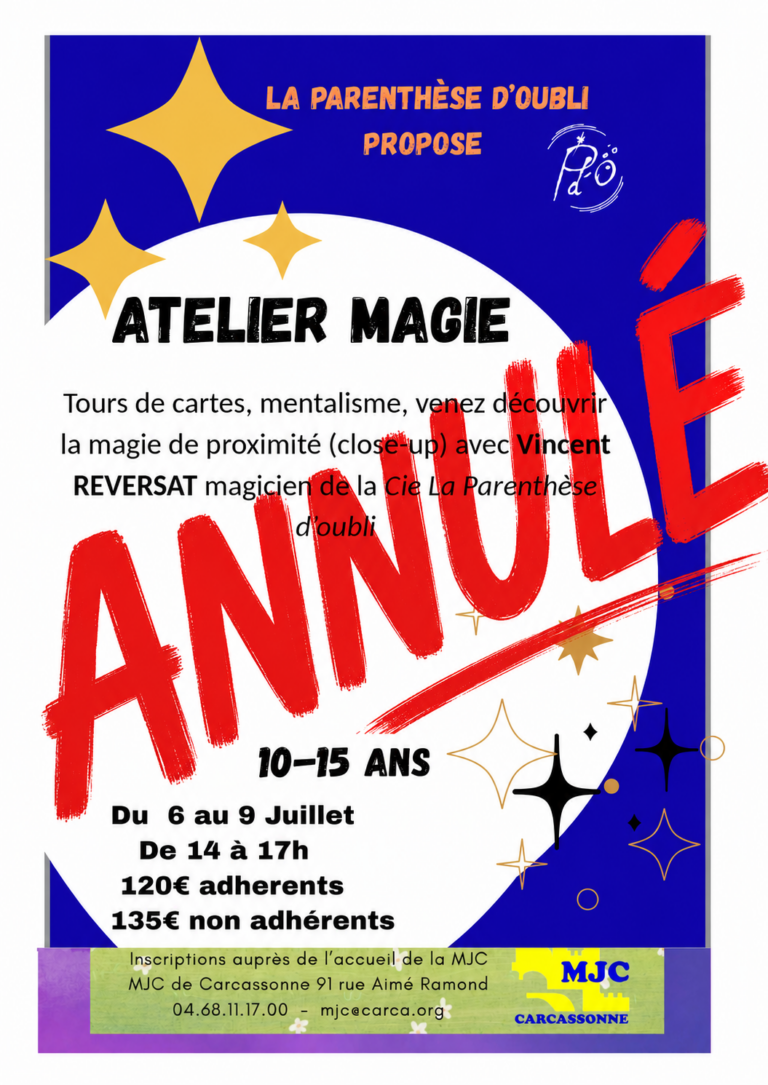 Stage de Magie